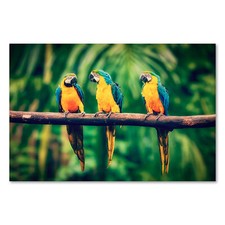 Postereck 2596 Poster Leinwand