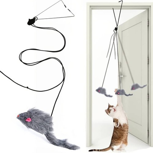 Aktives katzenspielzeug mit - aktives,