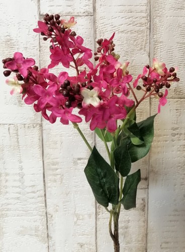 Flieder pink rot 51cm - flieder,