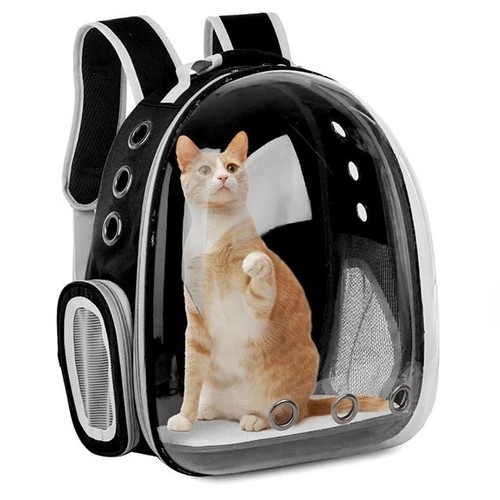 Katzenrucksack