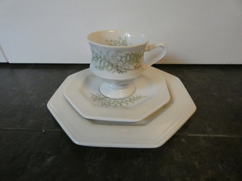 17047 gallo leonardo fougere - 17047/,