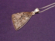 Anhänger Versteinerter