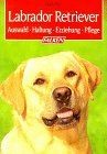 Labrador Retriever. Auswahl -