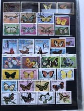 Sammlung Schmetterlinge auf 6
