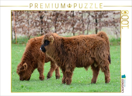 Calvendo puzzle the offspring - the,