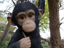 AFFE AM SEIL, HÄNGENDER