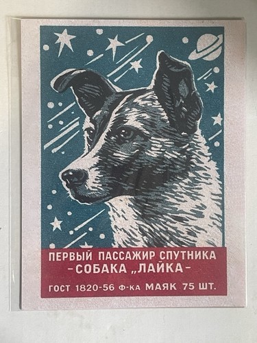 1957 soviet space - soviet, dog