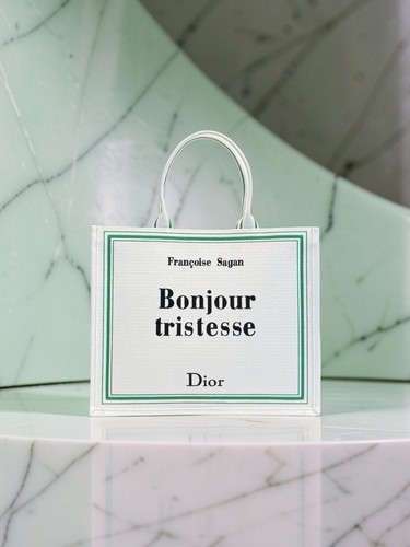 Christian dior book tote - book,