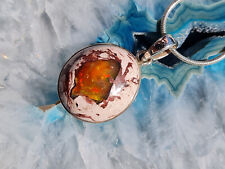 Tolle Farben!!  Großer