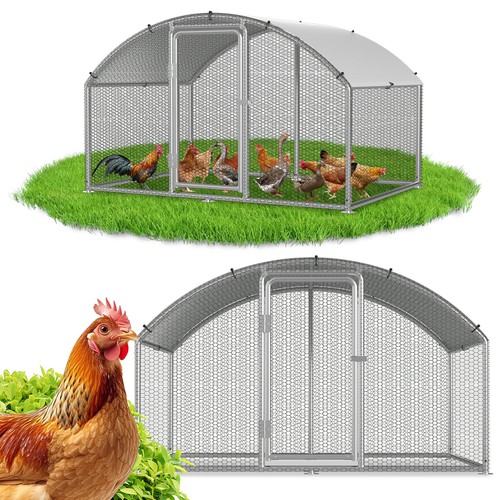 Hühnerstall küken - hühnerstall,
