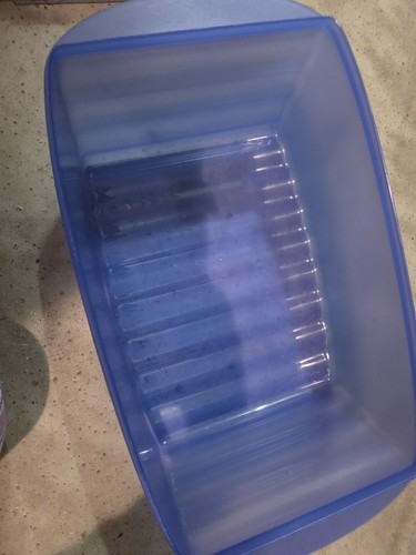 Tupperware junge welle - tupperware,