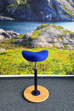 Varier Move  Sitz-Steh Hocker