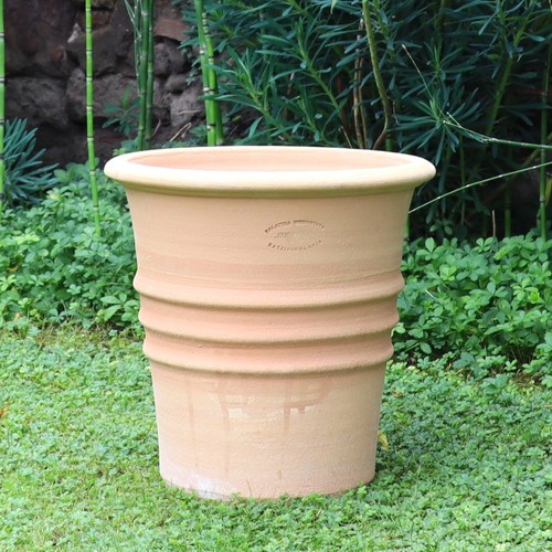 Terracotta blumentopf aster - terracotta,