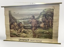 DDR Schulwandkarte - Urmensch Homo erectus - König /Kummer Lehrtafel, Rollk 1986