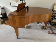 Flügel (Schimmel) guter