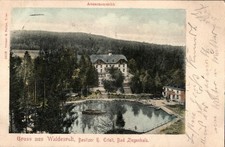 AK /Głuchołazy (Bad Ziegenhals ) Polen- Oberschlesien , Gruss aus Waldesruh,1902