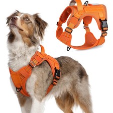 Hundegeschirr mittelgroße