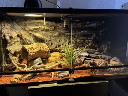 Hobby terra fix terrarium - hobby,