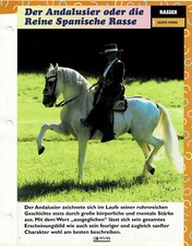 Der Andalusier oder die Reine Spanische Rasse (Leichte Pferde) - Infokarte