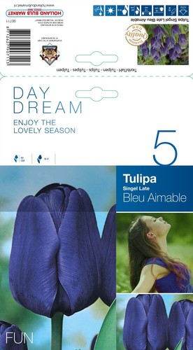 Tulpen - @, (◕‿◕)\@