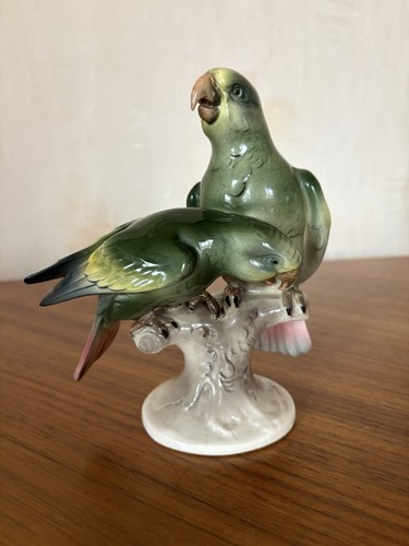Papageien paar hertwig - paar,