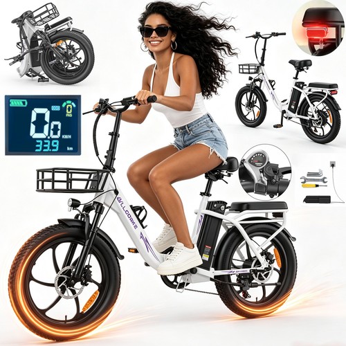 Zoll elektrofahrrad 48v - 20,