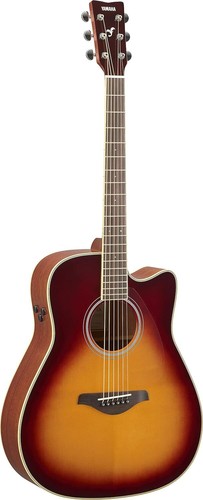 Yamaha fgc trans - fgc-ta, bs