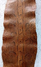 Sehr Alte Antike Echte Schlangenhaut ,   Haut einer Riesenschlange 310 Cm