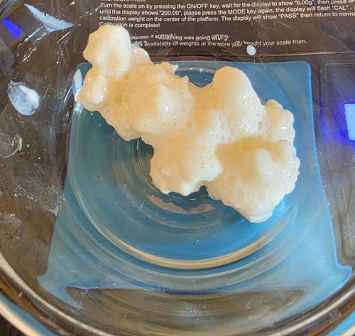 Milchkefir kefirknollen - milchkefir,