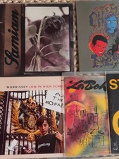 Plattensammlung Punkrock Rap Oldies u.a.