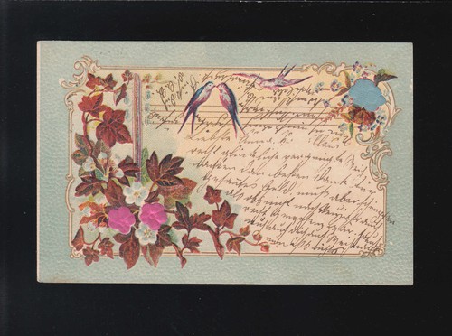 Schwalben taube brief - taube,