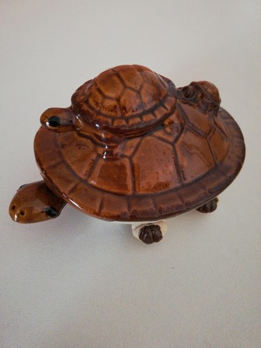 Fengshui figur - fengshui, 🐢