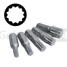 XZN Vielzahn Spline Biteinsatz