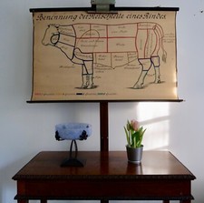 VINTAGE | SCHULWANDKARTE FLEISCHTEILE RIND WANDKARTE | WALL CHART