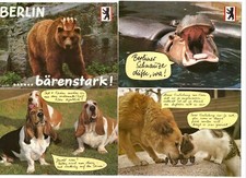 4 AK Tiere / Bär + Flusspferd aus Berlin, Hunde, Katze, lustige Sprüche (Lot 4) 