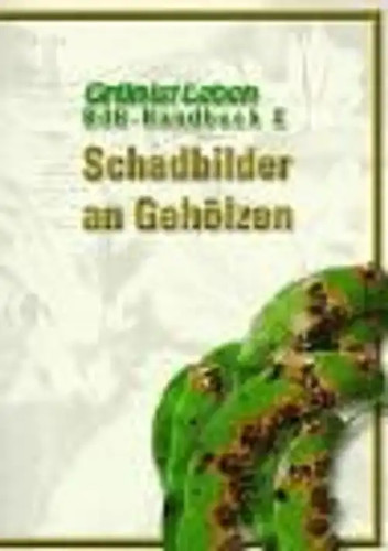 Bdb handbuch schadbilder an - /,