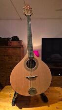Irish Bouzuki, Blarge Bouzouki Large oder Big Cister, Zustand Neu