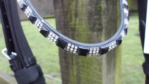 Full warmblut trense von - full,