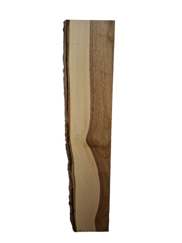 Nussbaum bohle brett - nussbaum,