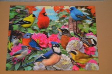 3D Puzzle 500 Teile Vogel