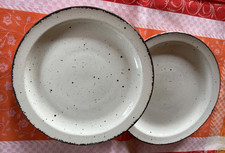 2 Speiseteller Teller