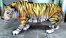 XXL TIGER LEBENSGROSS~LÖWE