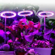 LED Grow Light spektrum