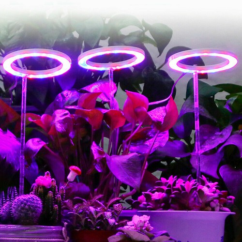 Led grow light spektrum - grow,