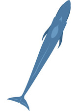 5x car sticker whale sticker