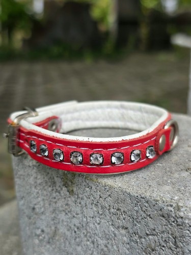 25cm hundehalsband leder - 25cm,