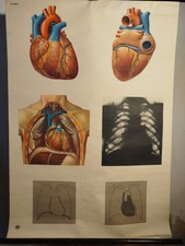 Schulwandkarte DDR Rollkarte