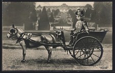 Prinz Wilhelm in Husaren-Uniform, im Park von Sanssouci, Ansichtskarte 