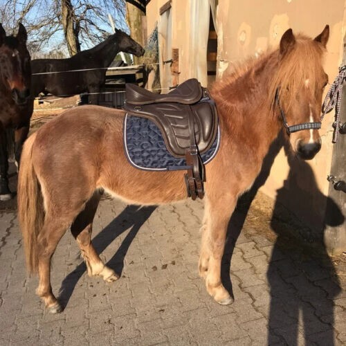 Leder freemax baumloser sattel - baumloser,