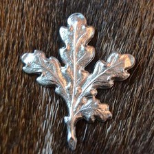 Eichenlaub Keiler Gewaff